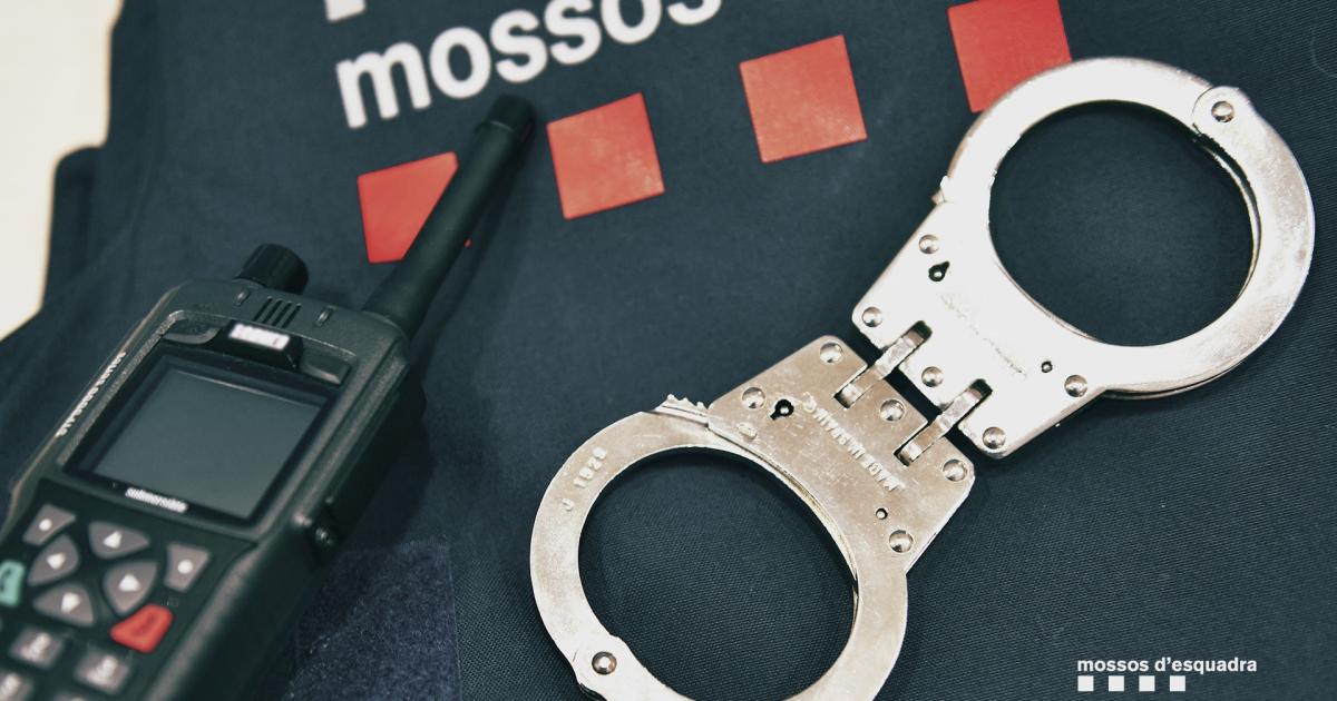 Identifican a una docena de jóvenes poraltercados cerca de la estación en Lleida