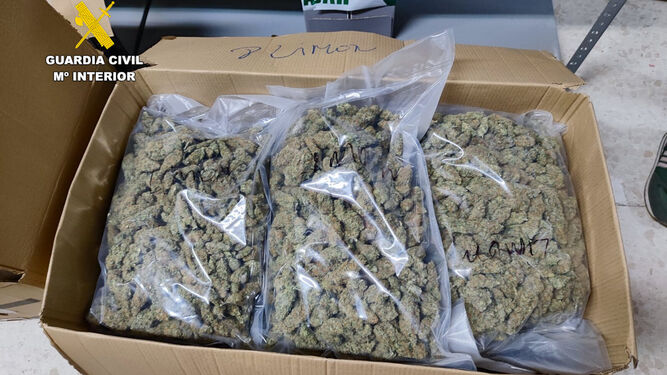 La Guardia Civil desarticula un centro de distribución de marihuana en un chalé de Otura y detiene a un joven de 24 años con 92 kilogramos de droga