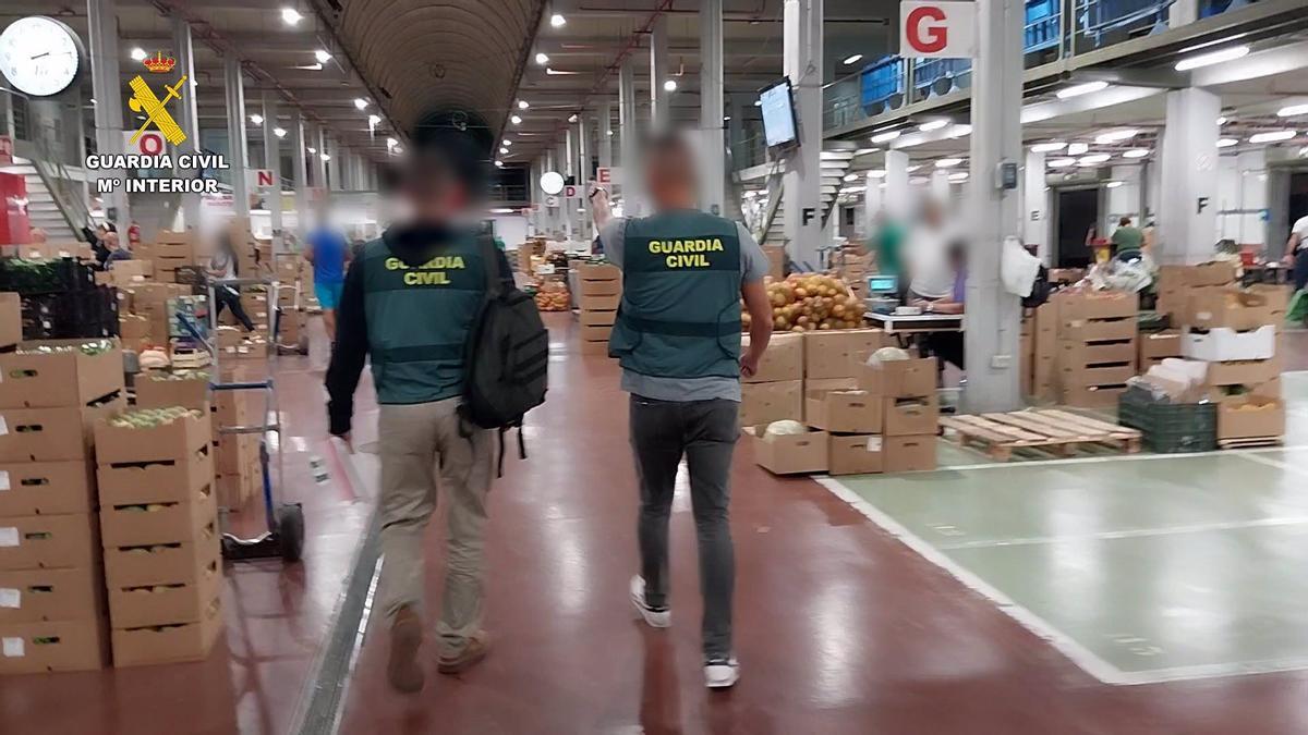 La Guardia Civil ha intervenido casi diez toneladas de fruta y verdura en Tenerife que estaban siendo comercializadas de manera ilegal. En concreto, los agentes han retirado del mercado un total de 9.572 kilos de frutas y verduras.