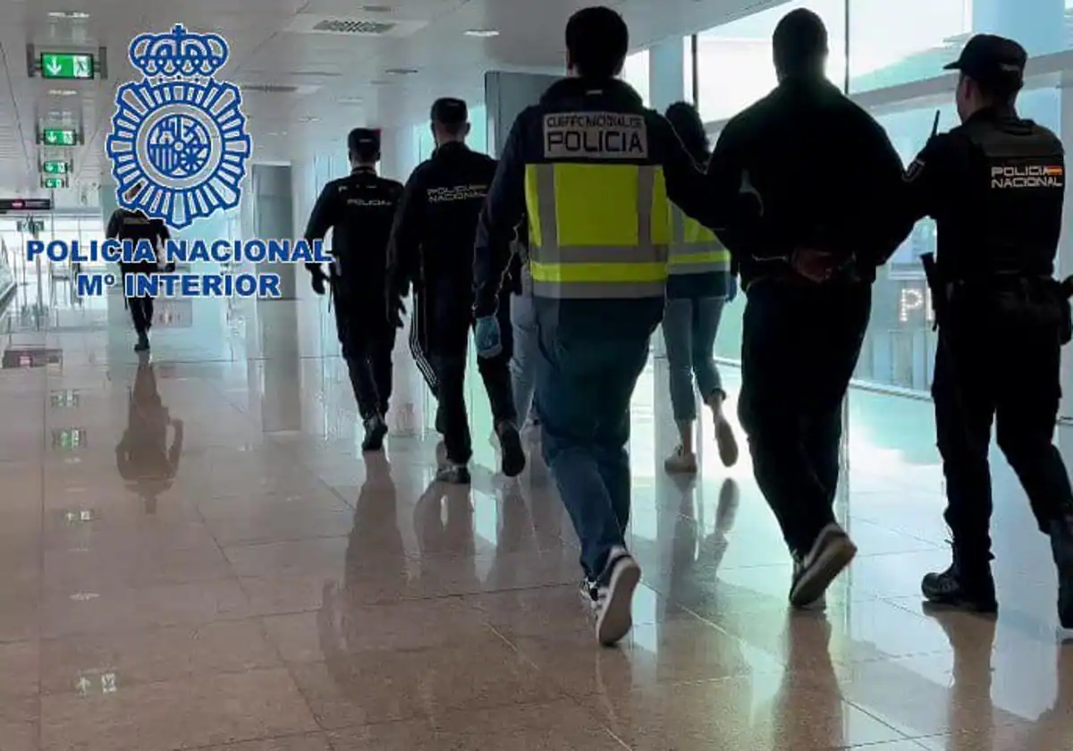 De Alicante a Europa: así viajaba la droga a través de empresas de paquetería