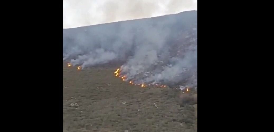 Las llamas desafían las estaciones: Nuevo incendio en Sanabria denunciado por los Agentes Medioambientales