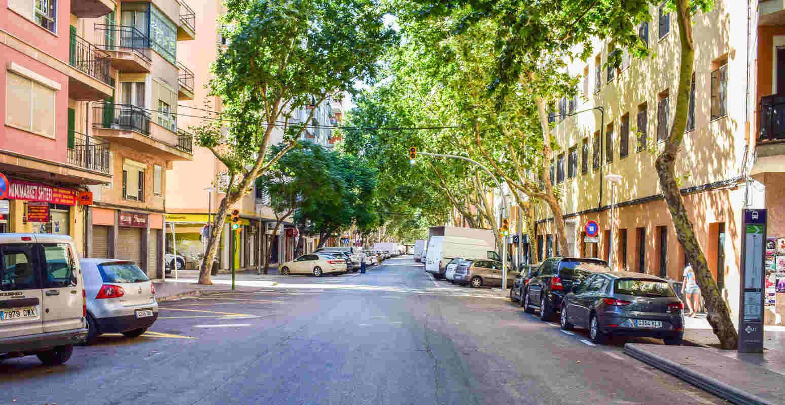 Seis detenidos por protagonizar una reyerta con botellas de cristal en Pere Garau