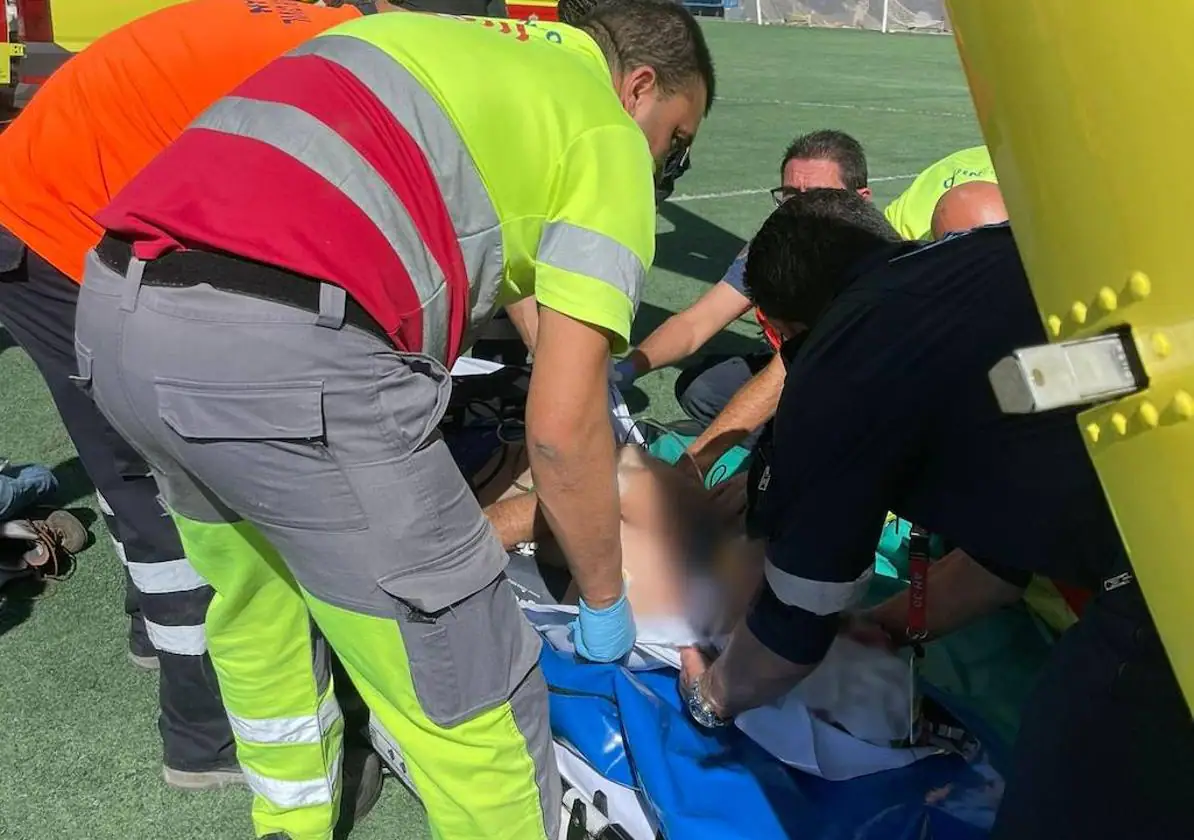 Herido un hombre al caerse de un árbol en una finca de Veneguera