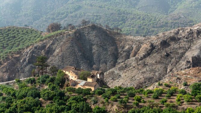 Imagen de archivo de una de las zonas afectadas por el incendio de Los Guájares, un año después