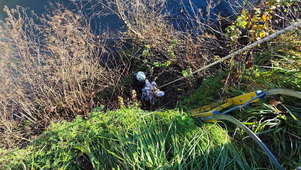 Los bomberos rescatan un perro tras caer al río en Las Caldas
