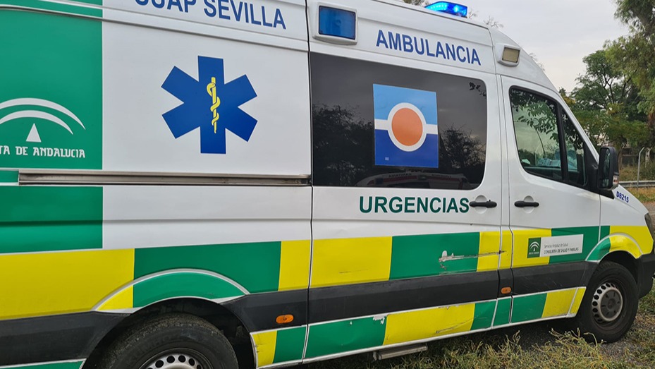Cinco personas heridas tras volcar el coche de caballos en el que paseaban