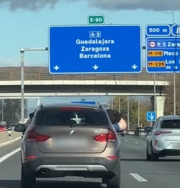 spot_img
