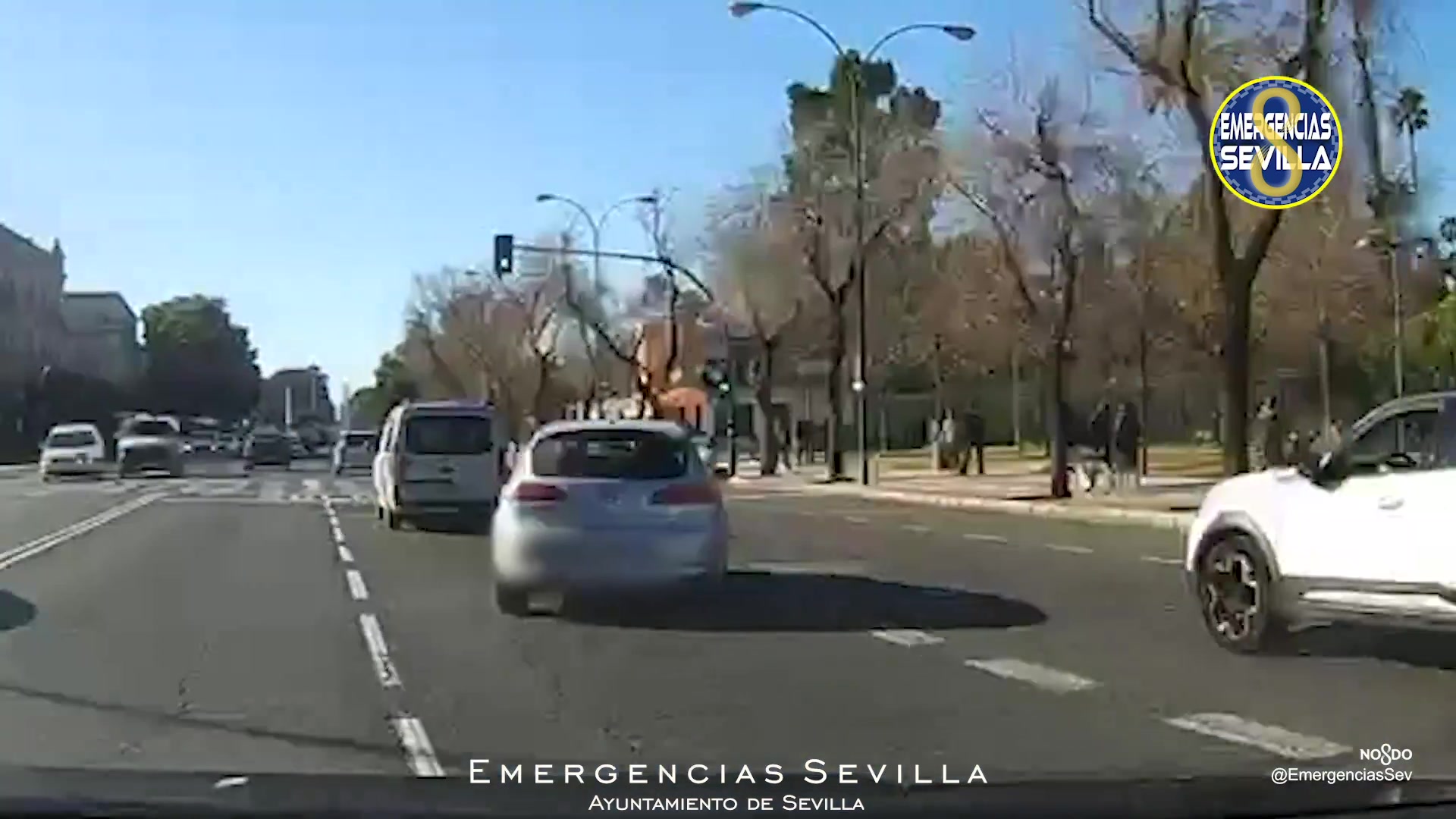 Detienen a individuo que emprendió huida a pie tras persecución policial en Sevilla con vehículo robado