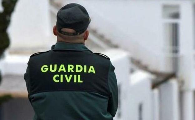 Detienen a persona por cultivo ilícito y enganche ilegal de electricidad en Campohermoso de Níjar