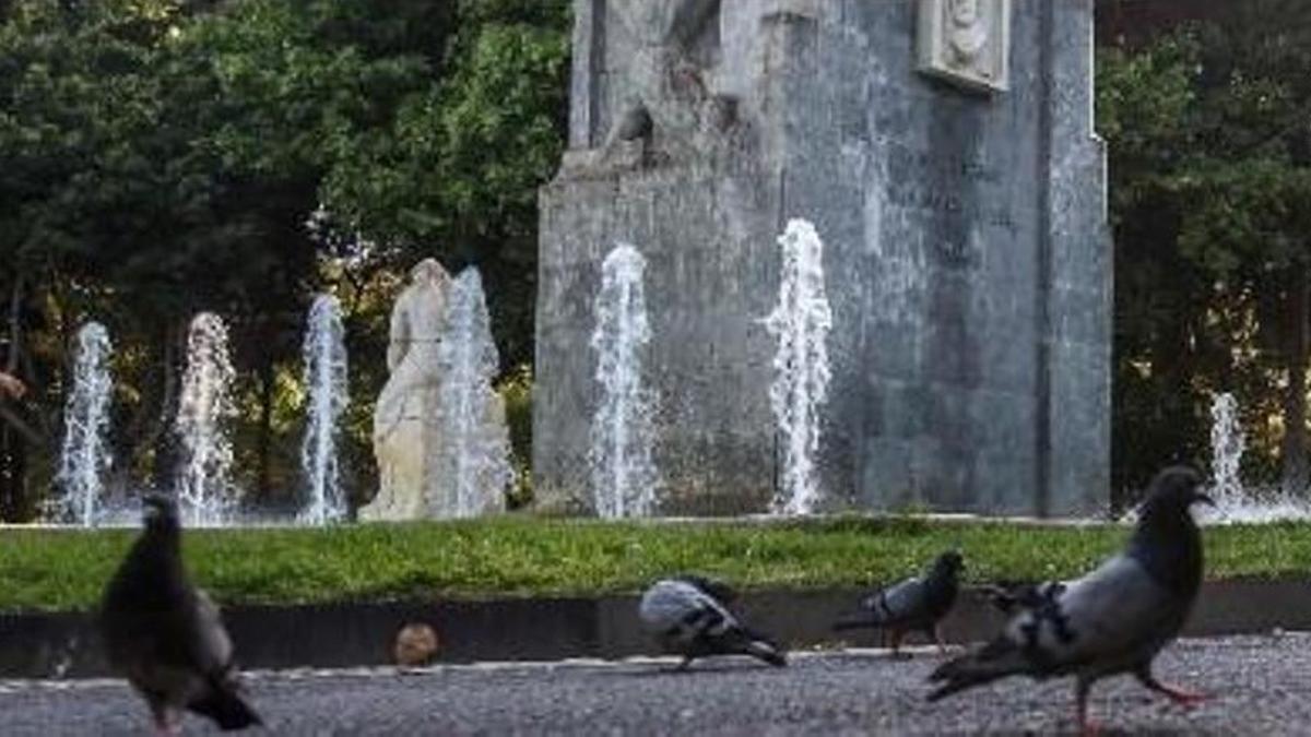 Palomas en el Parque García Sanabria de la Santa Cruz de Tenerife.