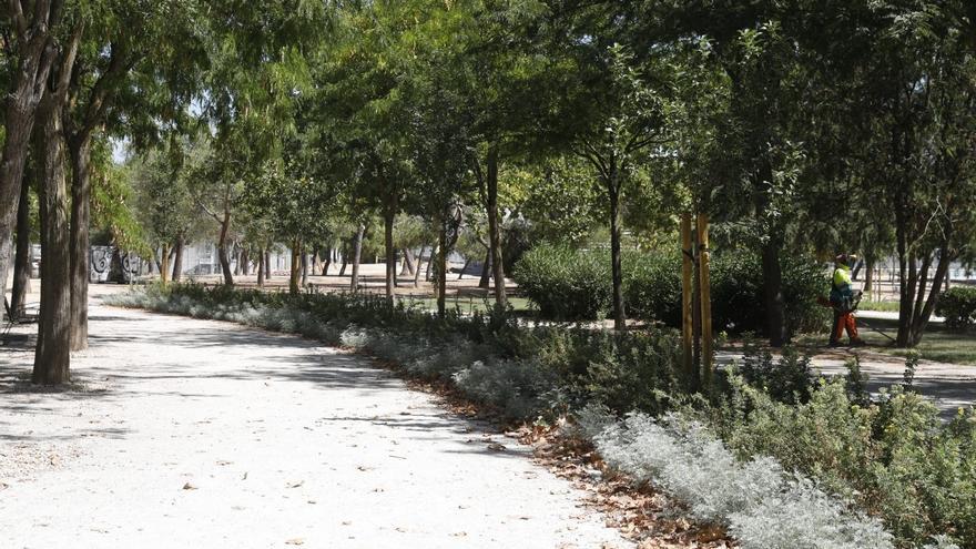 Un joven denuncia que fue violado por ocho hombres el día de Año Nuevo en un parque de Madrid