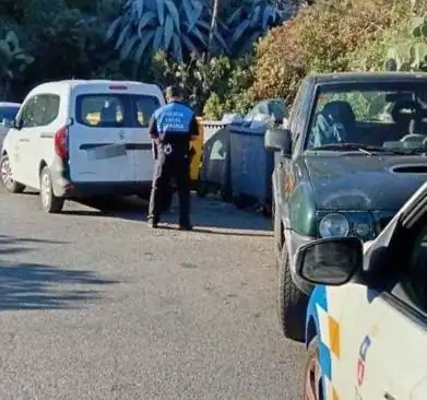 Investigan posible delito de maltrato animal tras hallazgo de cachorros sin vida en contenedor de basura