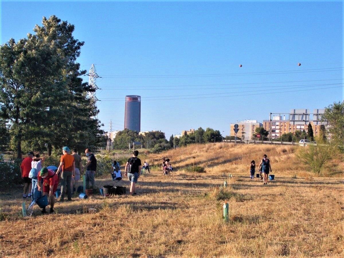 Imagen del parque Vega de Triana.  - SEVILLA MÁS VERDE