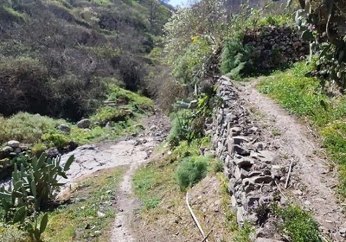 Herida tras caerse en un sendero del barranco Madrelagua