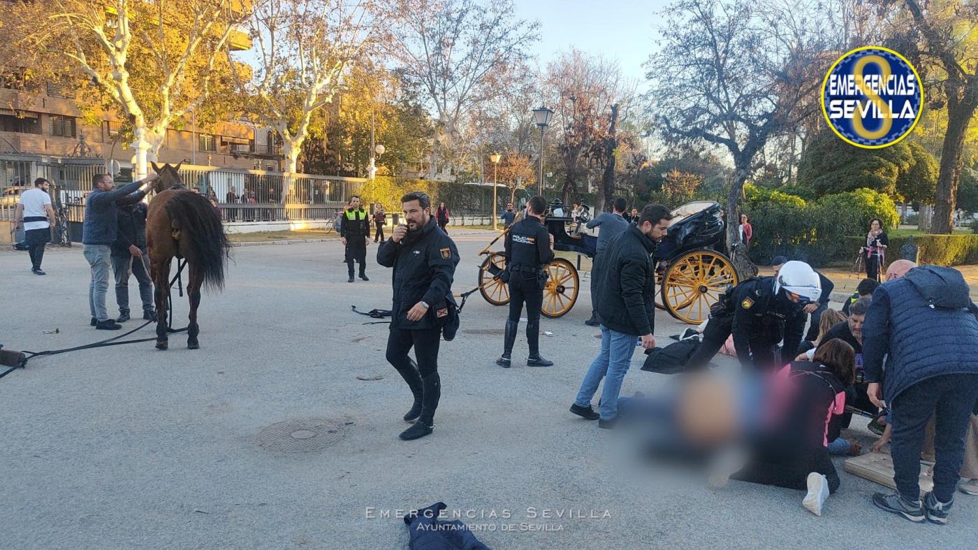 Cinco heridos, uno grave, en el vuelco de un coche de caballos en el Parque María Luisa