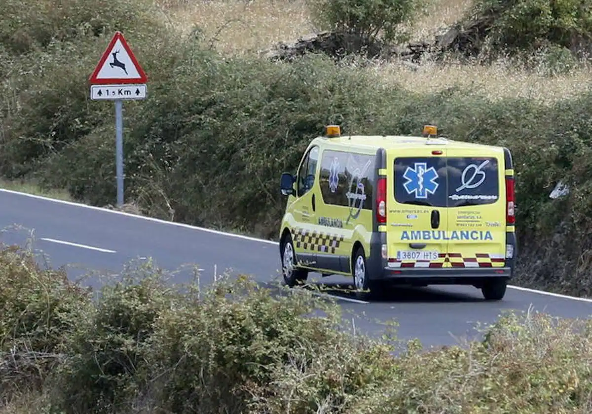 Herido un varón de 91 años tras una salida de la vía con su coche en Ledesma