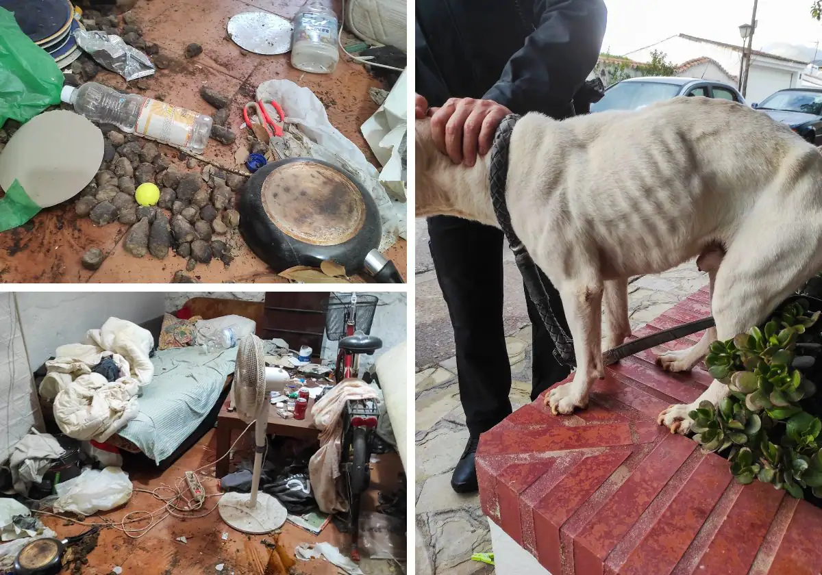 Rescatan a un perro tras meses encerrado, sin agua ni comida en un trastero de Marbella