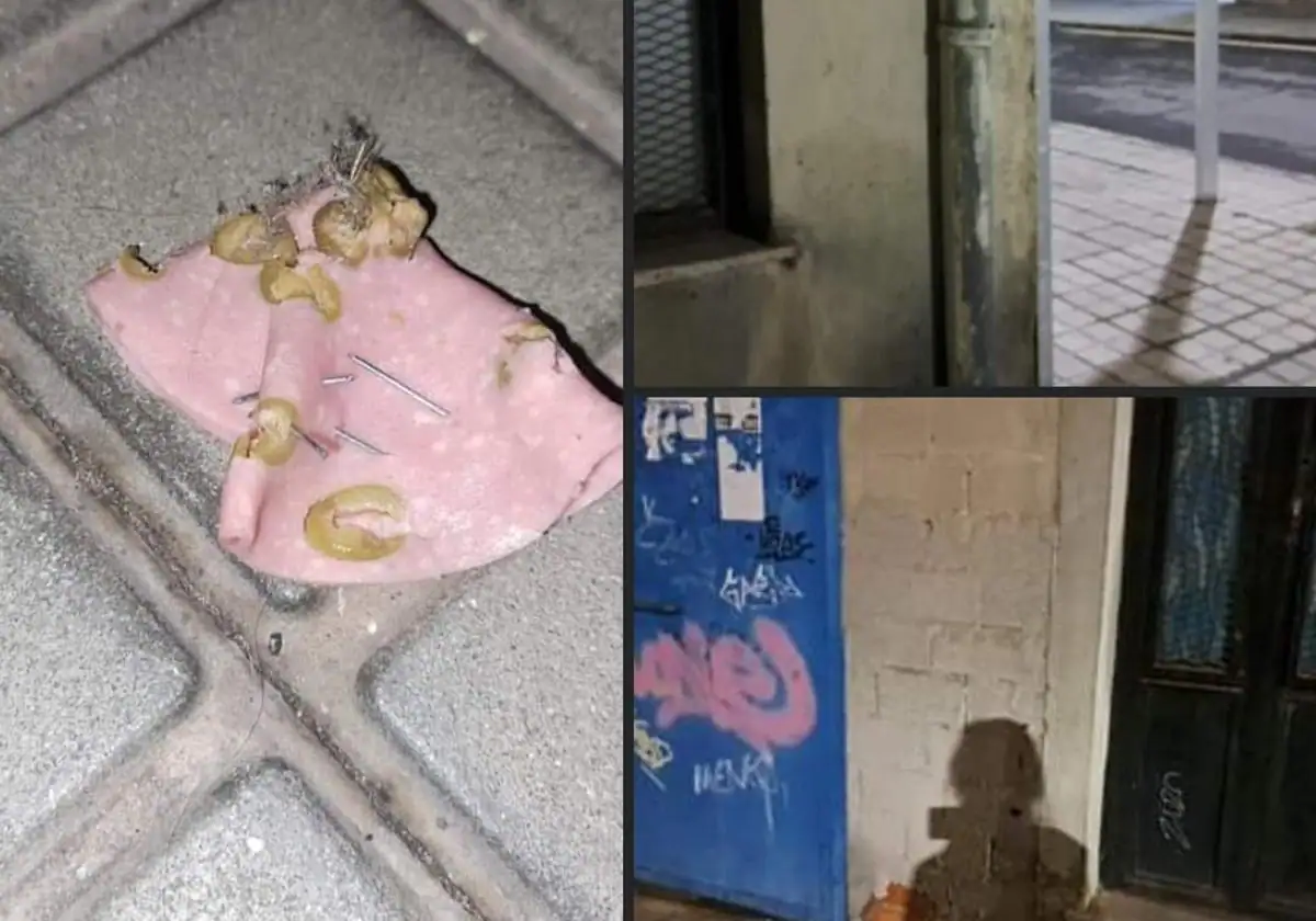 Denuncian la aparición de comida para perros con alfileres en el Camino de las Aguas