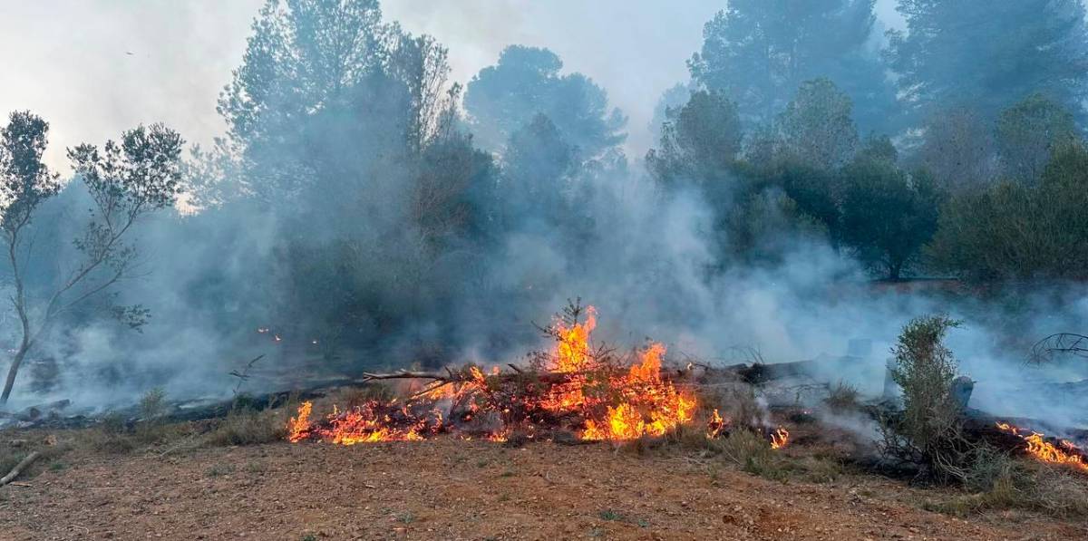 Incendio en Riudecanyes