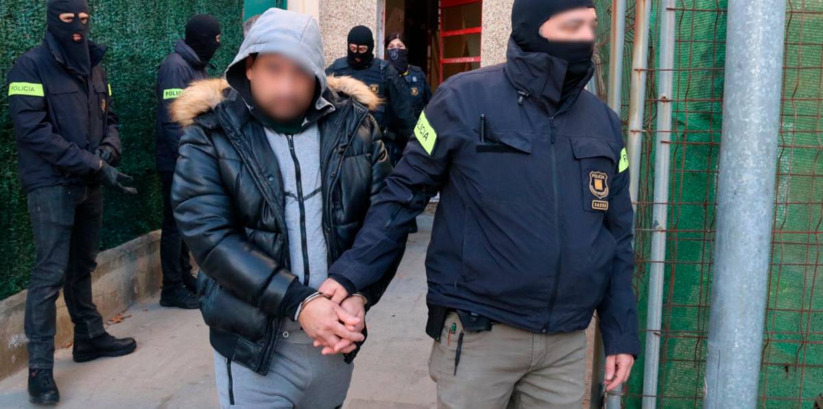Desarticulado grupo dedicado al tráfico de drogas en operativo policial: 12 detenidos y 6 plantaciones de marihuana desmanteladas