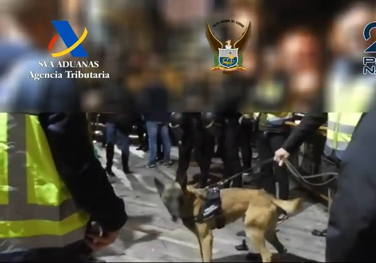 Siete detenidos en Málaga de una red que traficaba con cocaína en contenedores de fruta desde Ecuador