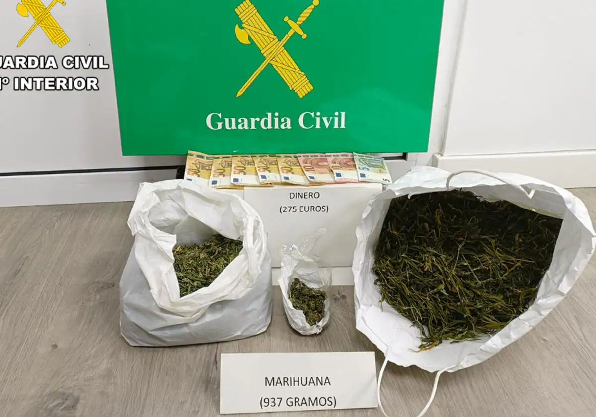 Detenidos dos individuos en Burgos por tráfico de drogas, incautan casi un kilo de marihuana