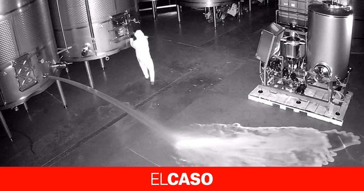 Entran de madrugada en una bodega VIP de Ribera del Duero y tiran 60.000 litros de vino en las cañerías