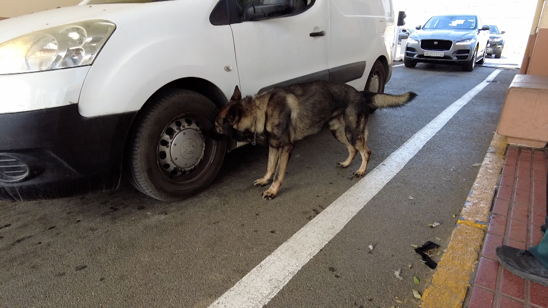 La Guardia Civil interviene 4.830 comprimidos de Rivotril y 900 de tranquimazin y 645.900 gramos de hachis