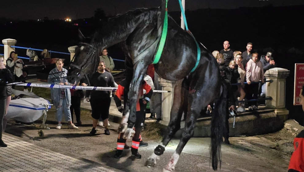 Heroico rescate de un caballo atrapado en las rocas de la playa de La Maruca