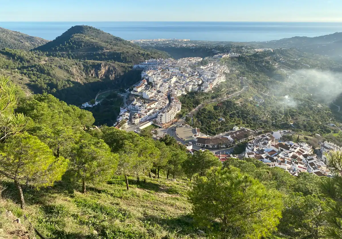 El hombre fallecido al caerle una palmera en Frigiliana ayudaba a una vecina a cortarla tras tirarla el viento