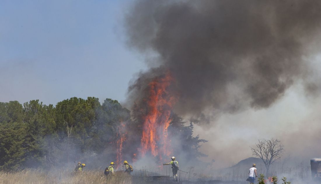Medios terrestres combaten un incendio en Zamora