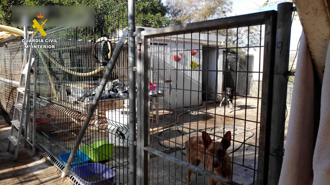 Algunos de los animales encontrados en el refugio. - Europa Press