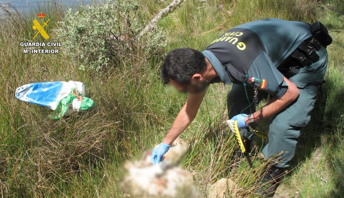 Confirmado envenenamiento de animales en Sanabria, Castilla y León: investigan sustancias y causas