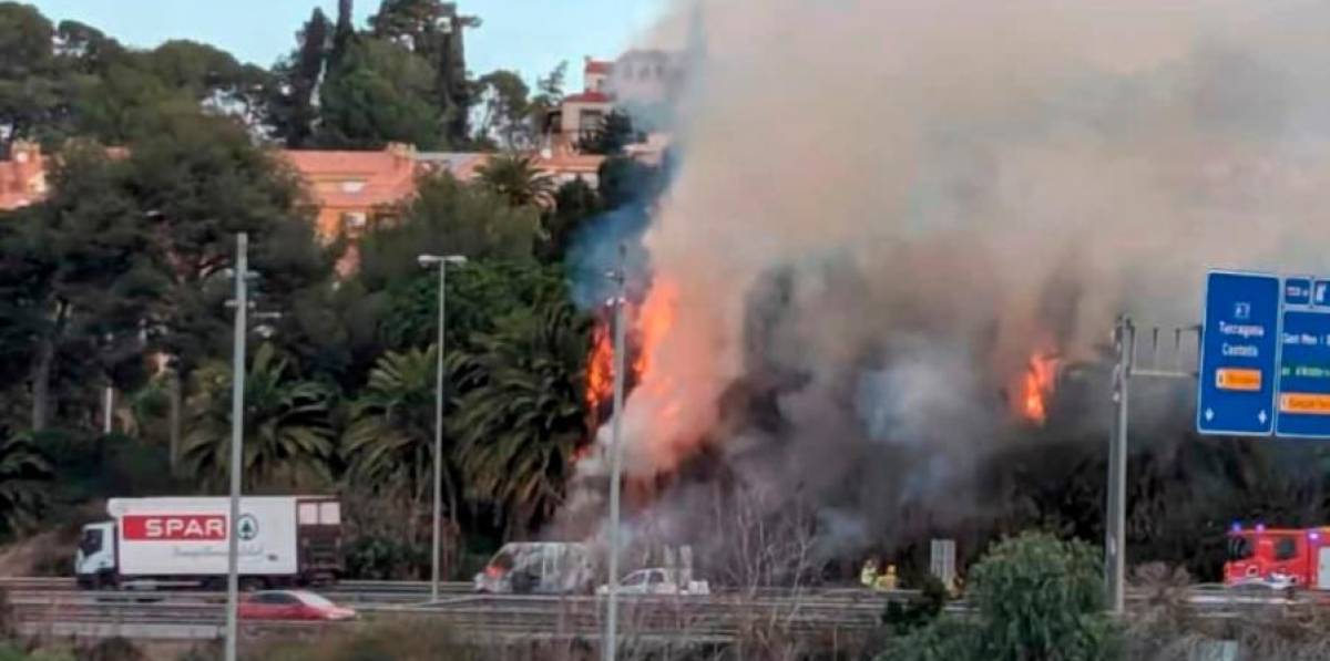 Una furgoneta en llamas alcanza la vegetación de un parque infantil de Tarragona