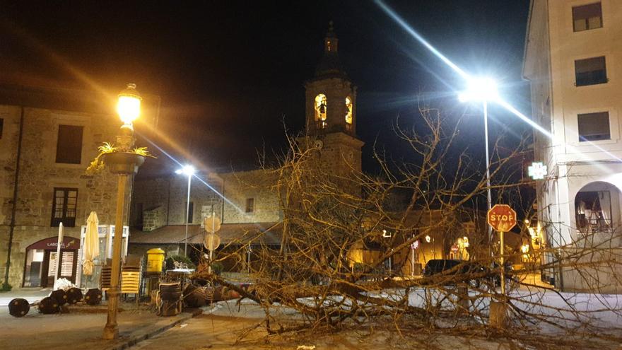 Aretxabaleta: El viento tumba un árbol en la calle Durana
