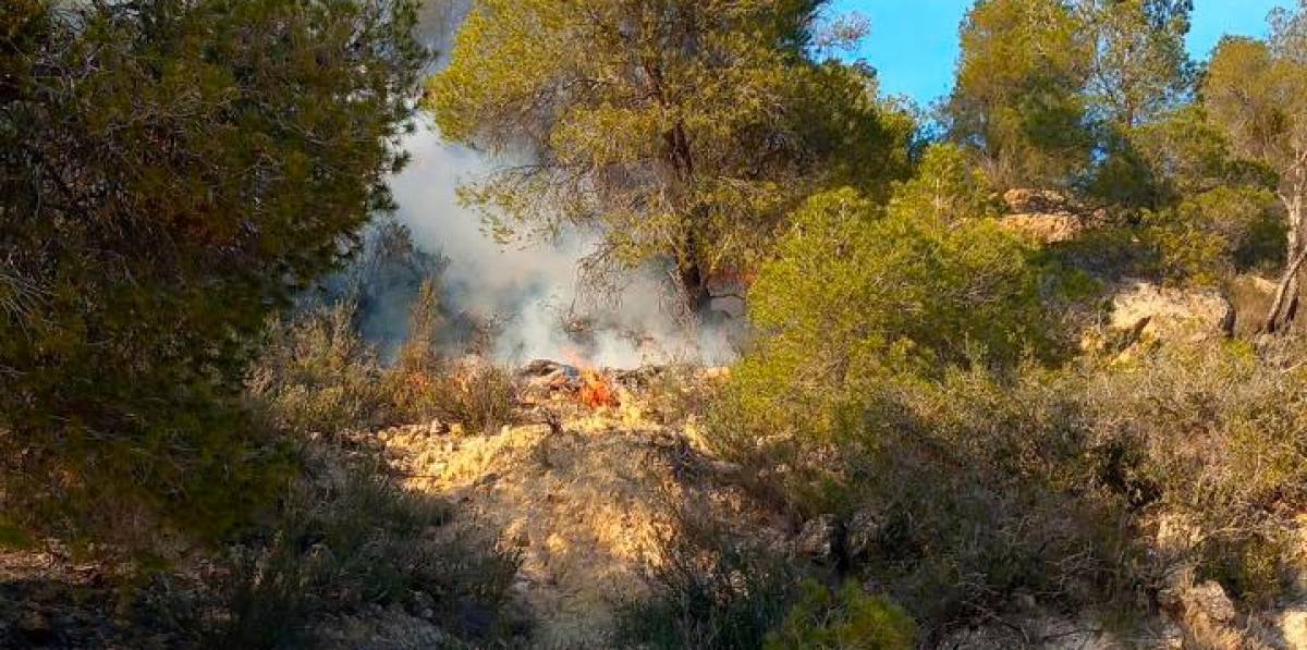 Sofocados en un solo día diez incendios de vegetación