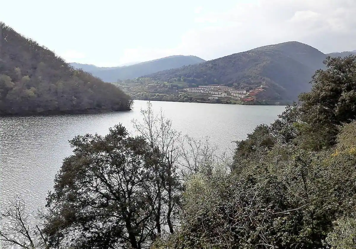 Un desprendimiento de piedras ha dificultado la circulación en Mansilla de la Sierra