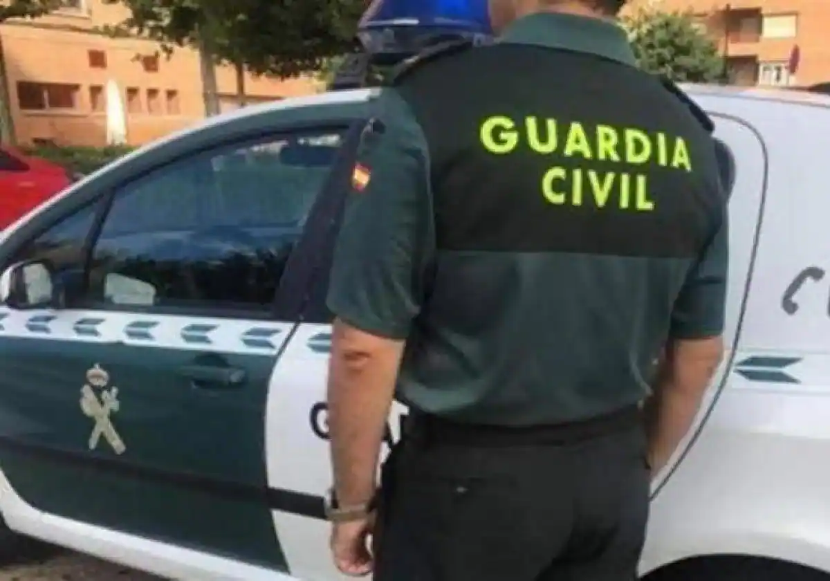 Agrede a su expareja y mata a golpes al perro de ambos en Rincón de la Victoria