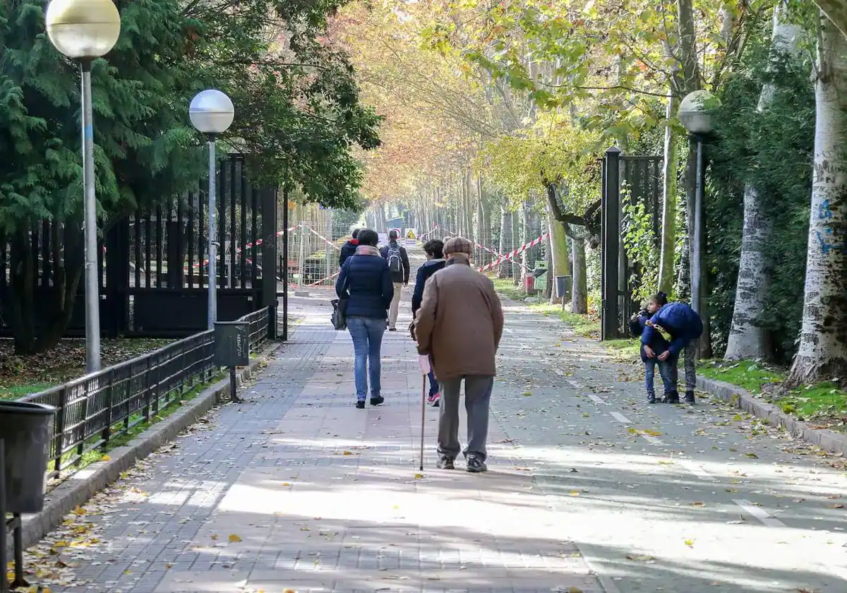 Detenido uno de los responsables de un brutal agresión en el Parque de Jesuitas