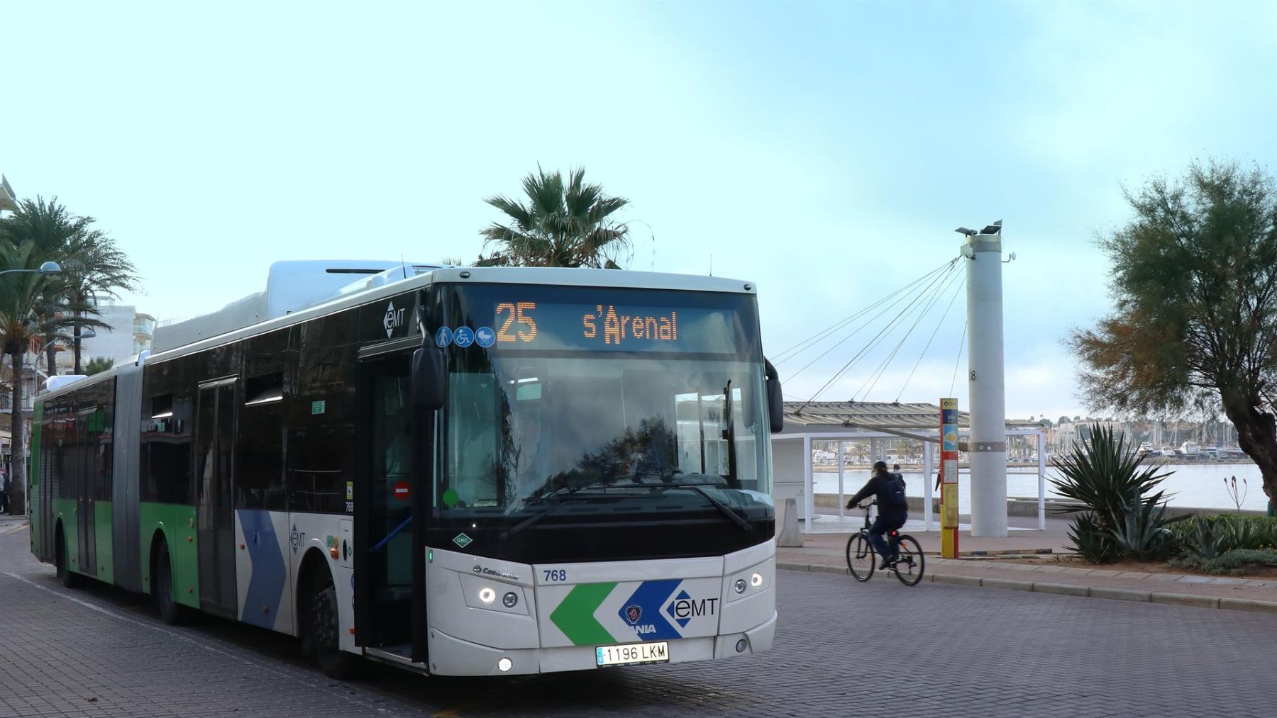 Detenido un marroquí por dar brutal paliza a conductor de autobús por bajar el volumen de la música