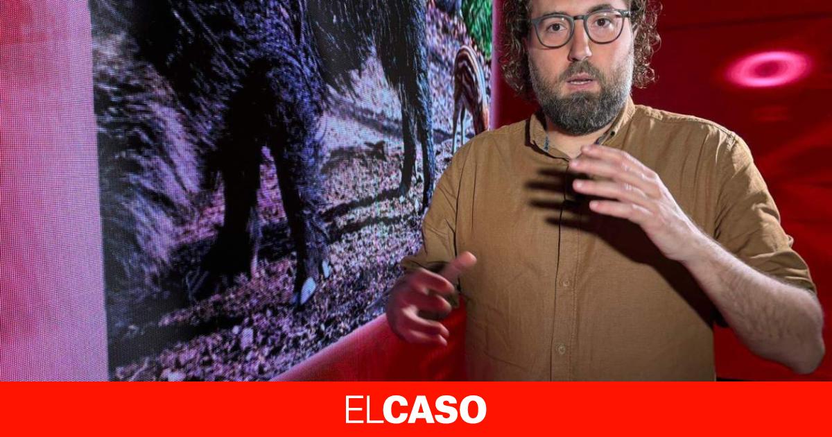 El caso de la cabeza de Badalona y las sospechas animales de los Mossos d'Esquadra, en 'ElCaso Exprés'