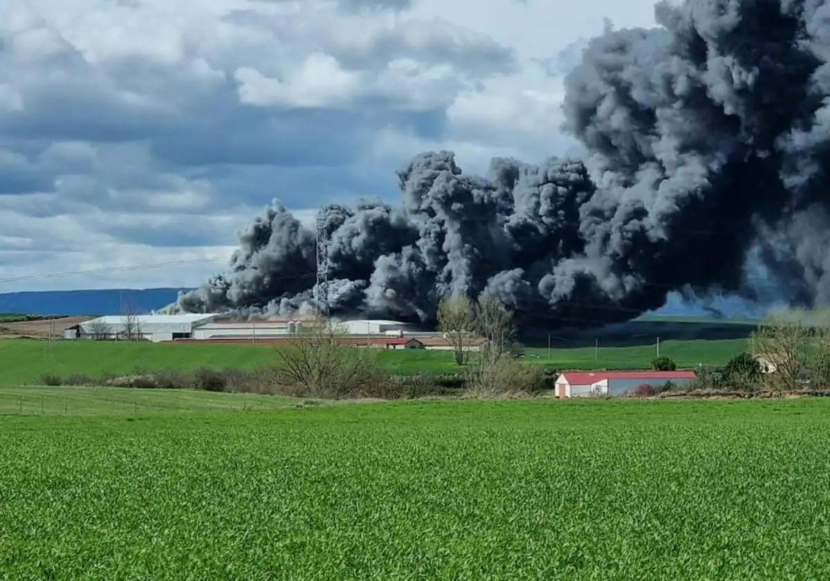 Granja de gallinas ponedoras en Briviesca arrasada por un incendio de origen desconocido
