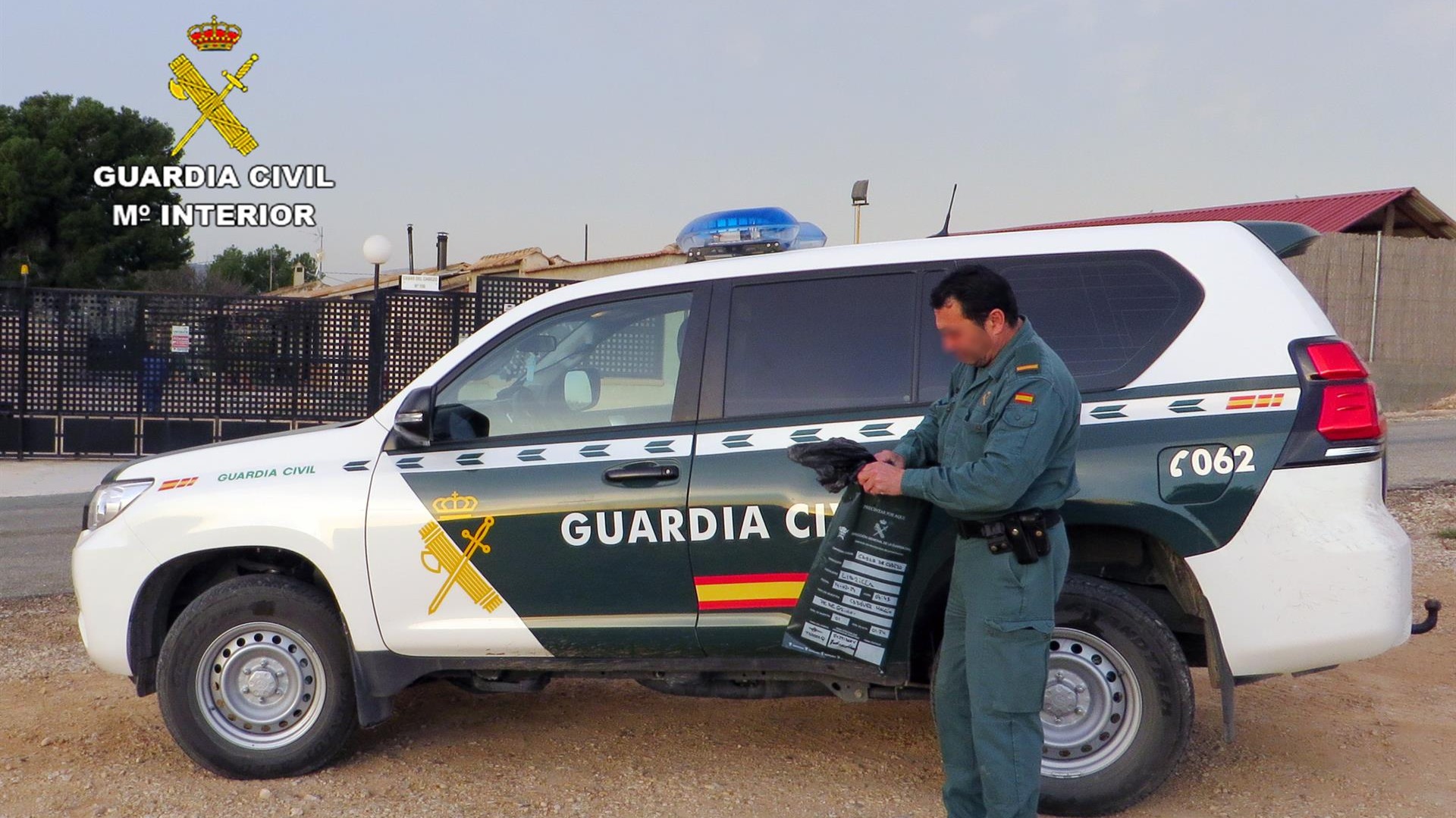 Investigado por la muerte de un halcón peregrino en Librilla