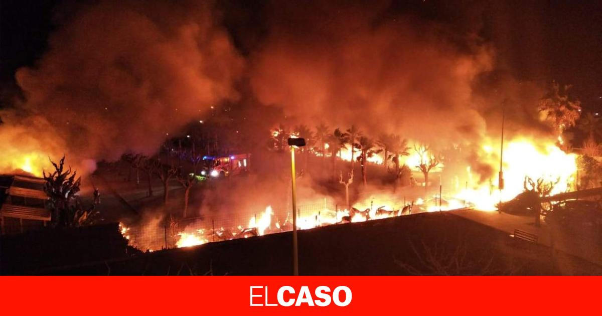 Los Mossos sospechan que el extraño incendio de un camping de Pineda de Mar ha sido intencionado