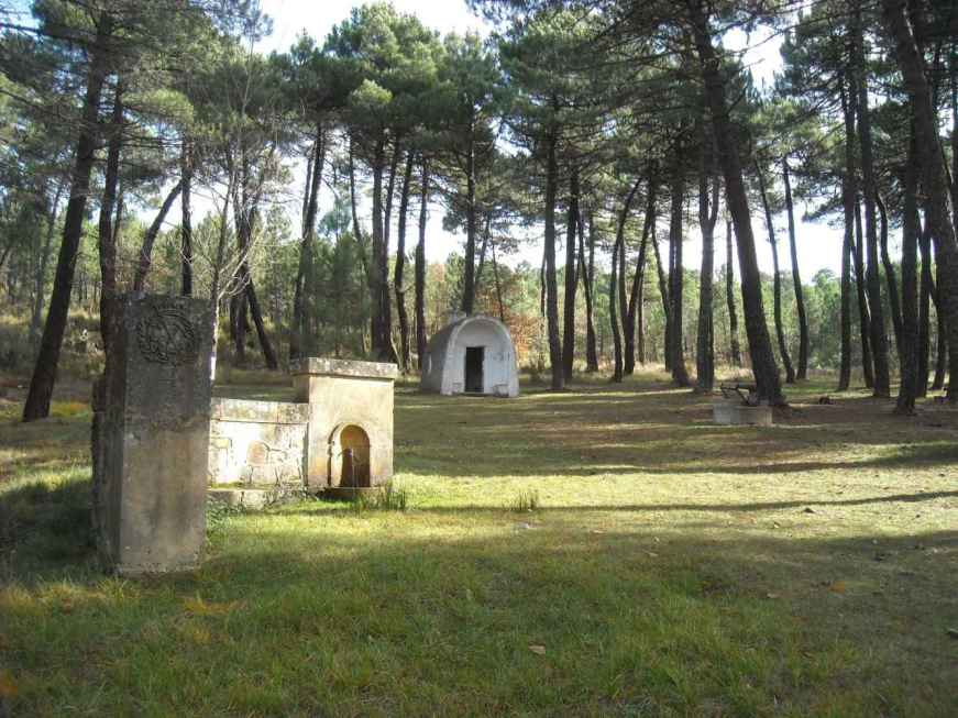 Dos investigados por supuesto hurto de madera en monte de Quintana Redonda