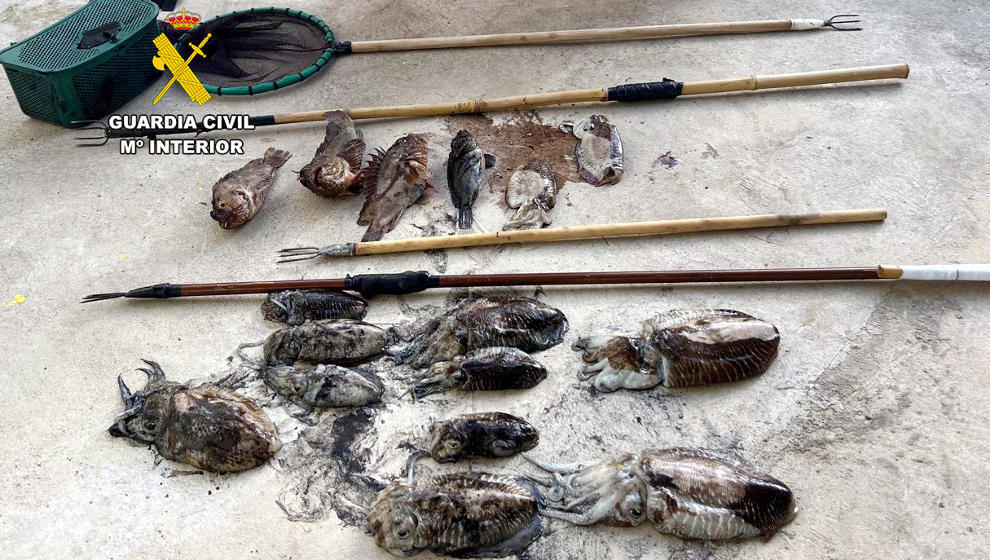 Sorprendidos cuatro pescadores furtivos con 12 cachones y cuatro cabrachos