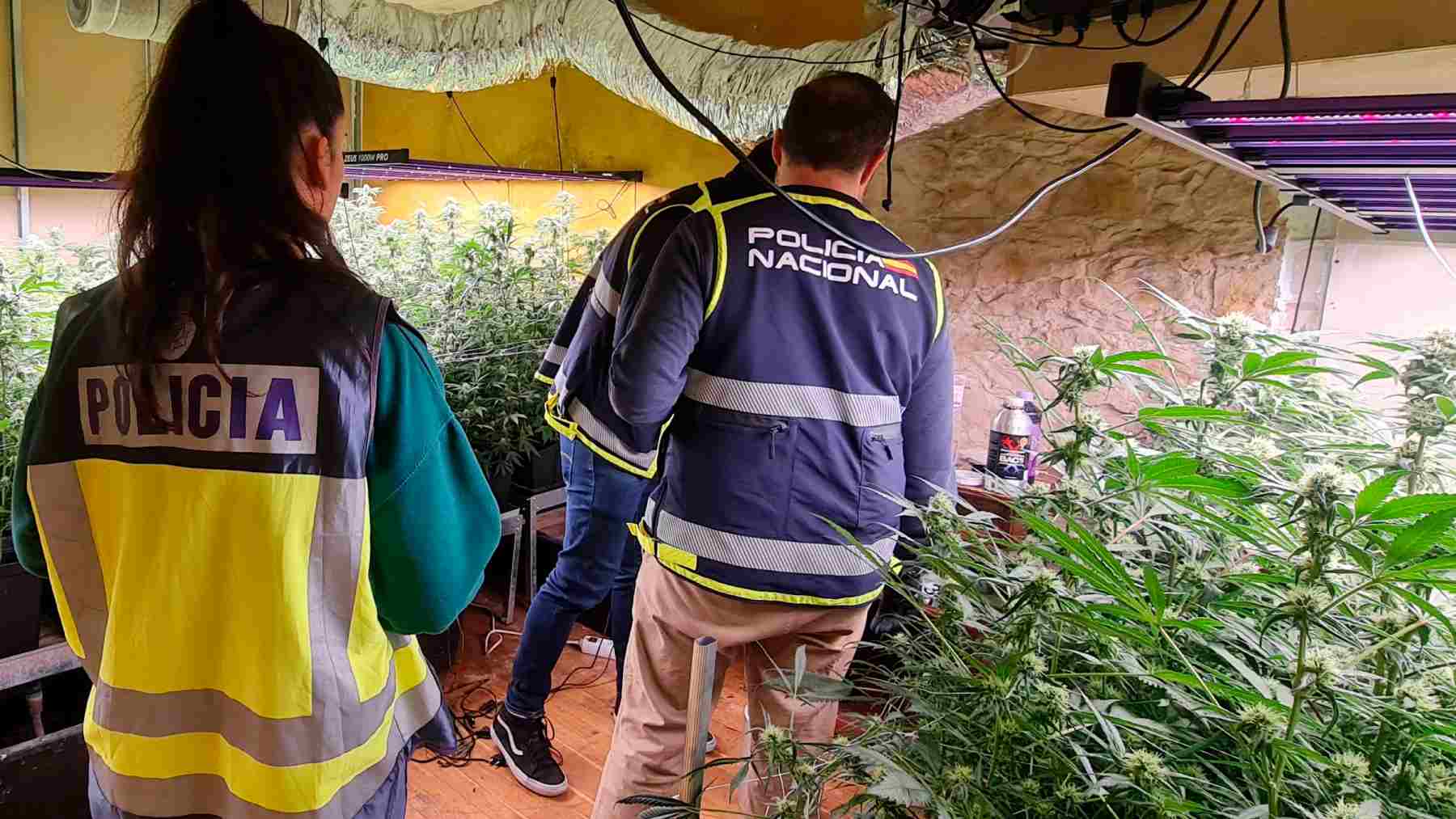 La Policía Nacional detiene a 11 personas y clausura una sociedad cannábica en Pamplona por tráfico de drogas