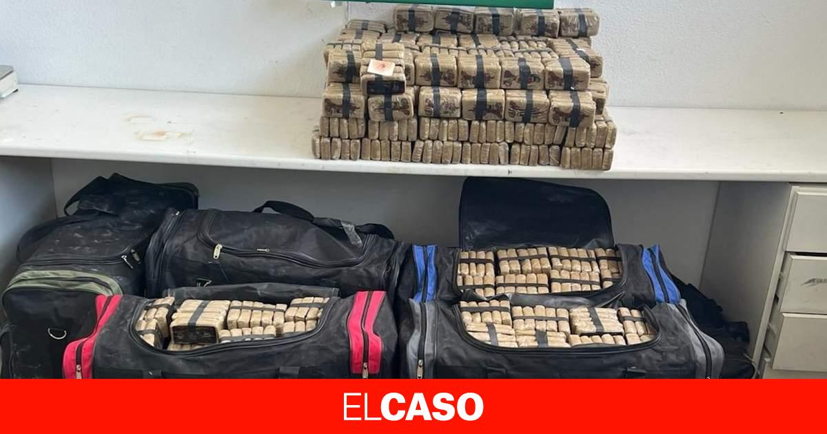 Cazado un narco camuflado entre caballos y paja con más de media tonelada de hachís en La Jonquera