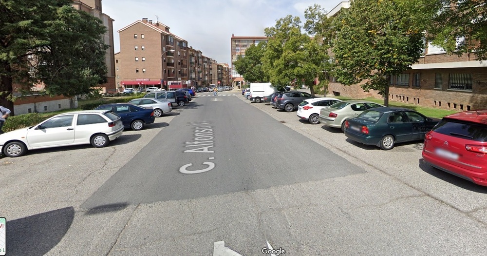 Muere un perro atropellado en La Albuera