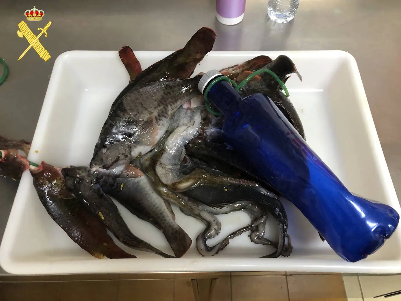 Sorprenden a un pescador furtivo en Radazul mientras cazaba bajo el agua con fusil